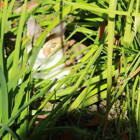 Za Siodma Gora Zachelmie (Jelenia Gora)