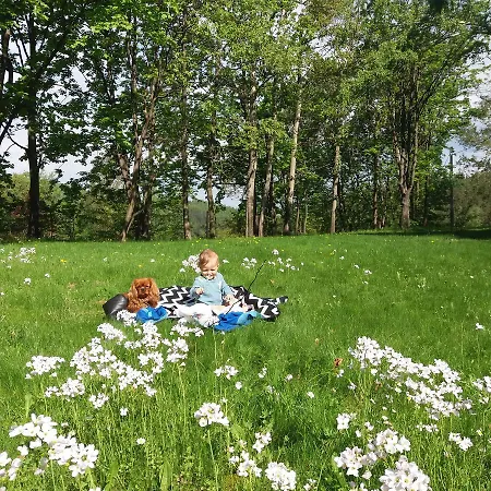 Za Siodma Gora منزل ريفي Zachelmie (Jelenia Gora)