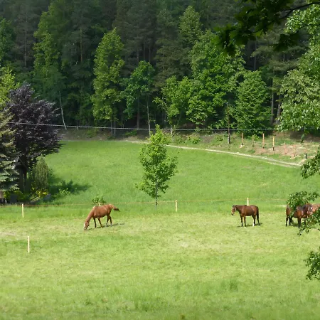 Za Siodma Gora Zachelmie (Jelenia Gora)