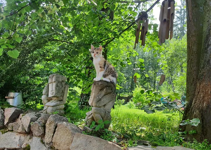 Country house Za Siodma Gora