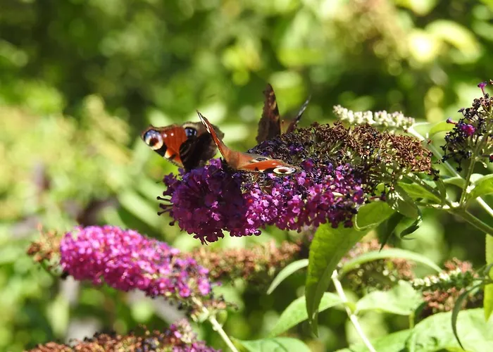 Za Siódmą Górą *