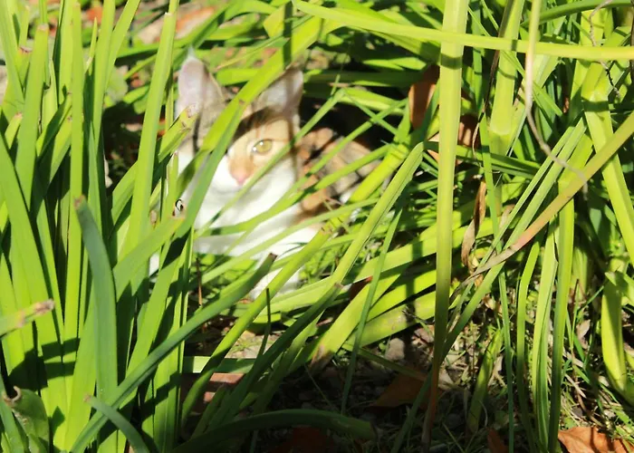 Za Siodma Gora Zachelmie (Jelenia Gora)