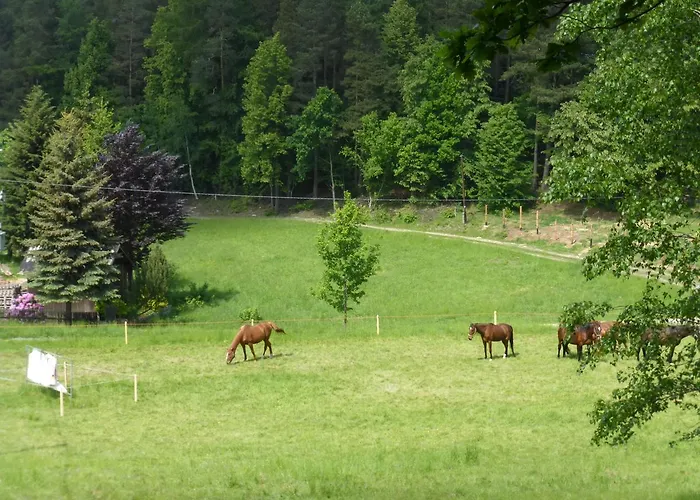 Za Siódmą Górą Zachelmie (Jelenia Gora)
